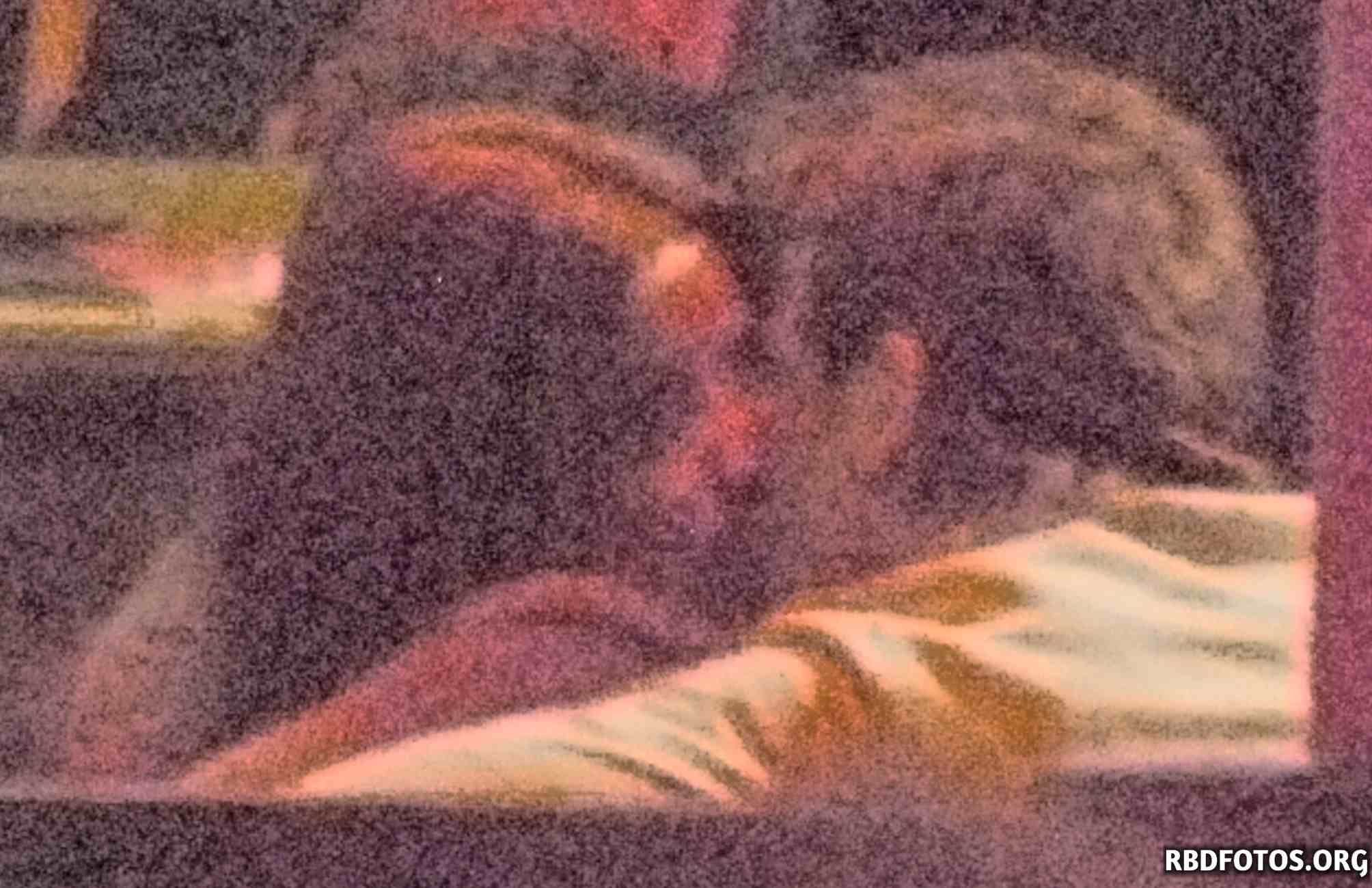HQ
