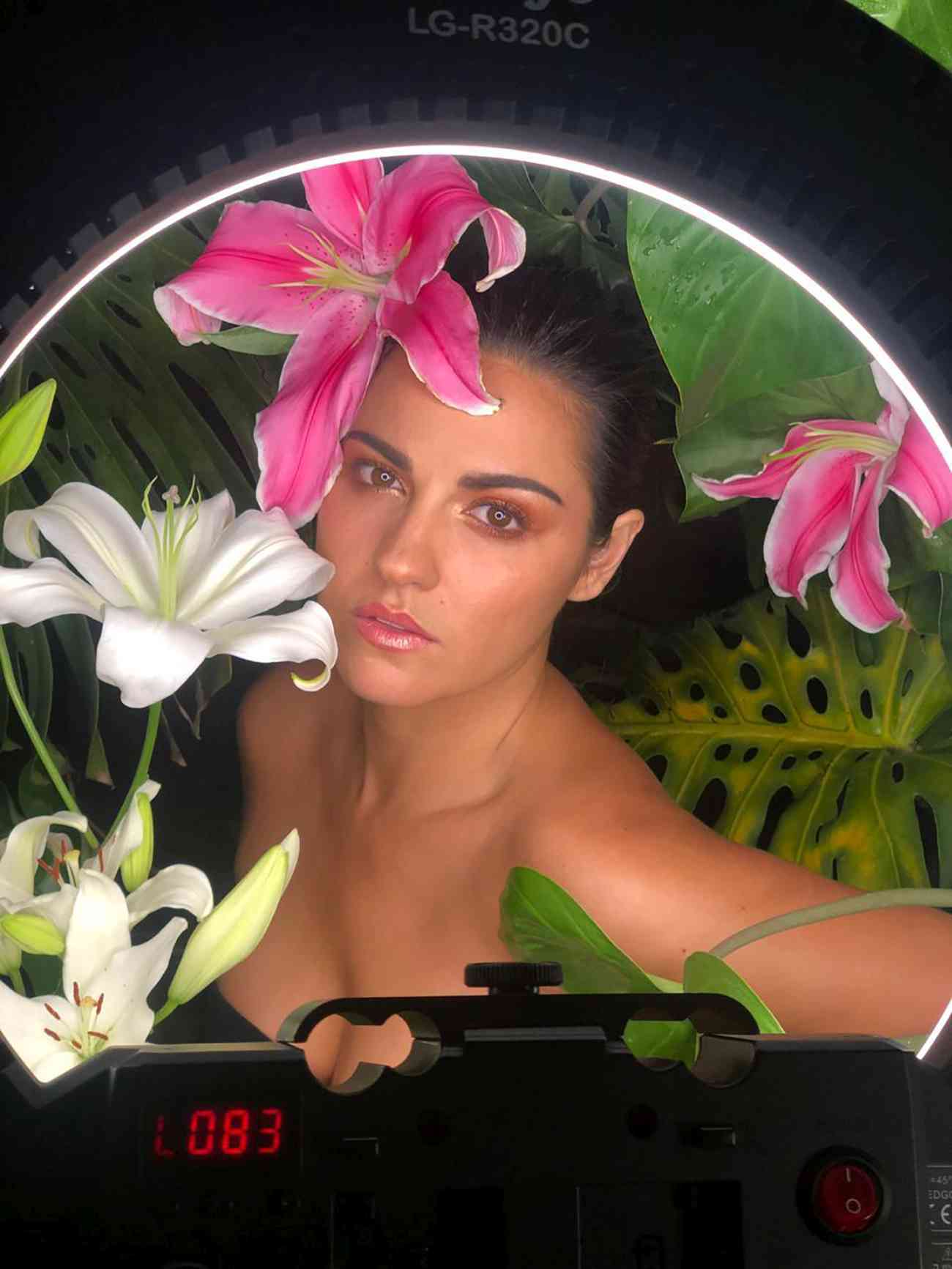 HQ
