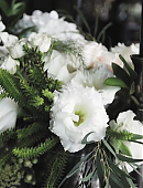 Matrícula=detalhes-do-casamento_256.jpg
Tamanho=96KB
Dimensão=720x1280
Data Envio=27.06.24 detalhes-do-casamento_256.jpg