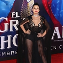 premiere_elgranshow14.jpg